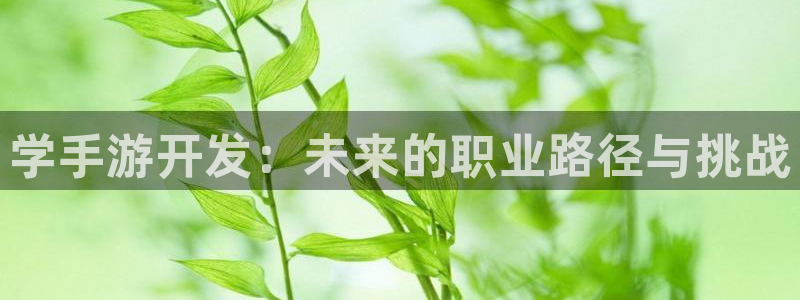 庄闲游戏提取：学手游开发：未来的职业路径与挑战