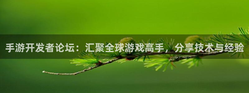 真人庄闲游戏官网：手游开发者论坛：汇聚全球游戏高手，分享技术