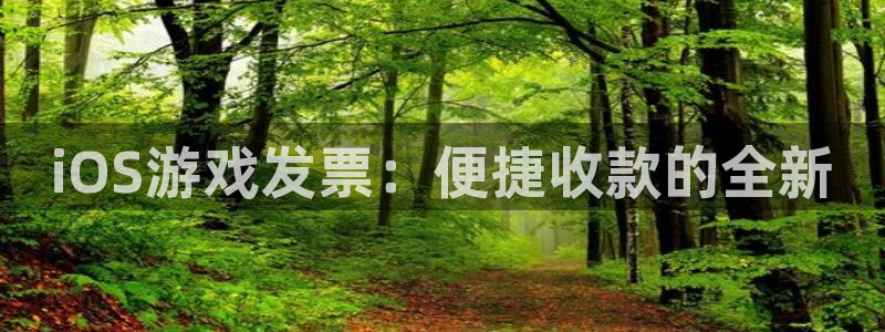 庄闲输赢比例：iOS游戏发票：便捷收款的全新