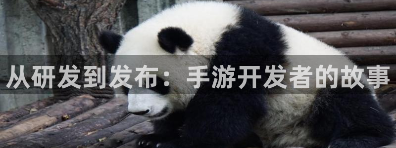 庄闲的80%赢法百度文库：从研发到发布：手游开发者的故事