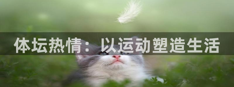 oety欧亿：体坛热情：以运动塑造生活