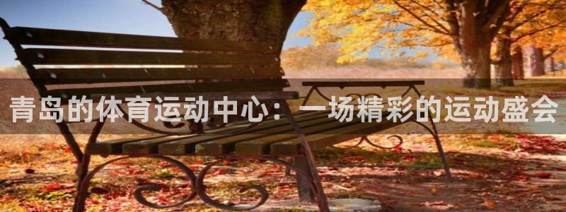 oety欧亿：青岛的体育运动中心：一场精彩的运动盛会