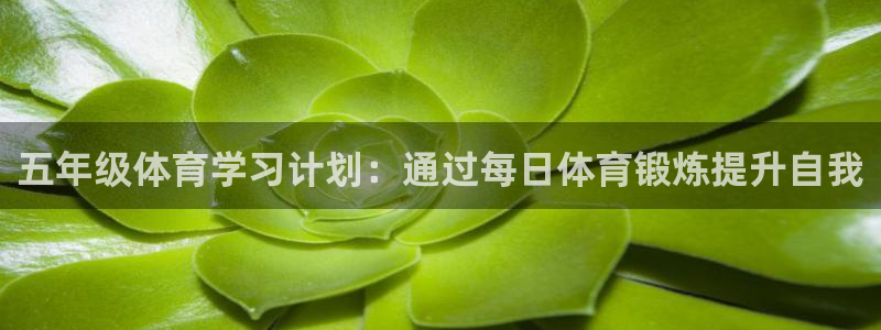 oety欧亿：五年级体育学习计划：通过每日体育锻炼提升自我