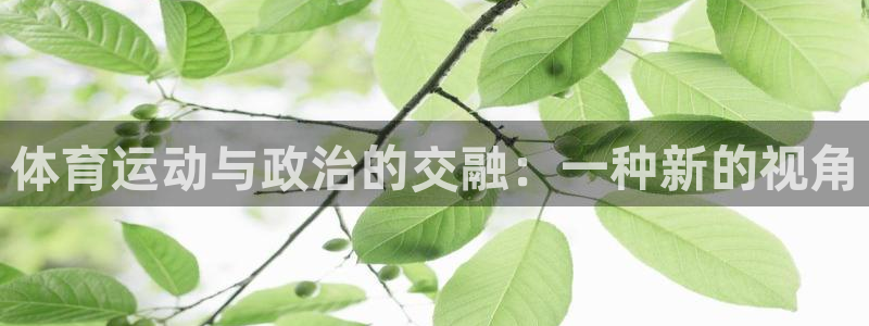 oety欧亿：体育运动与政治的交融：一种新的视角