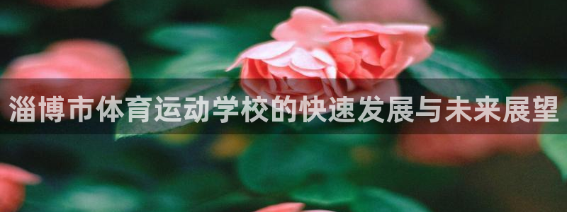 oety欧亿：淄博市体育运动学校的快速发展与未来展望