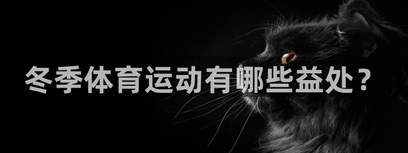oety欧亿：冬季体育运动有哪些益处？