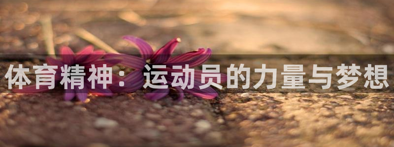 oety欧亿