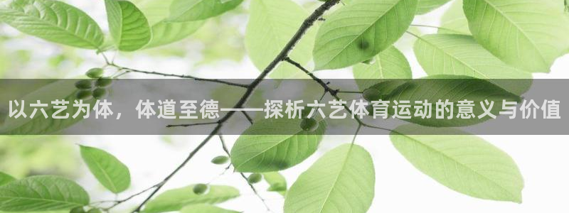 oety欧亿