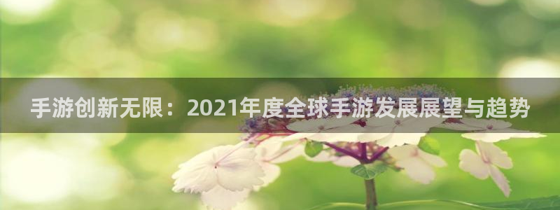 庄闲的80%赢法线路检测：手游创新无限：2021年度全球手游