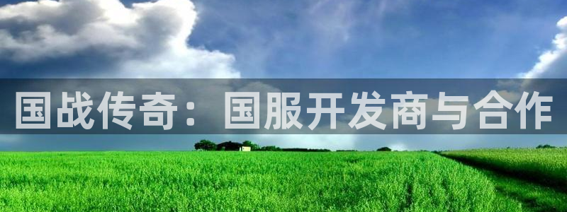 庄闲和玩法说明：国战传奇：国服开发商与合作